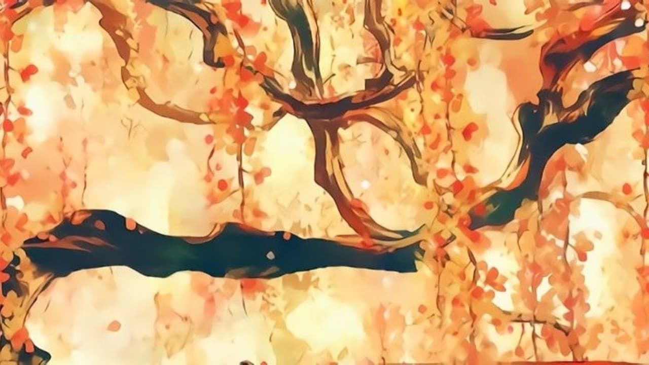 Bannière du serveur Discord ୧ ‧₊ Life is UwU₊˚ 🦋 ⋅ ☆